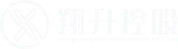 翔升控股集团 logo