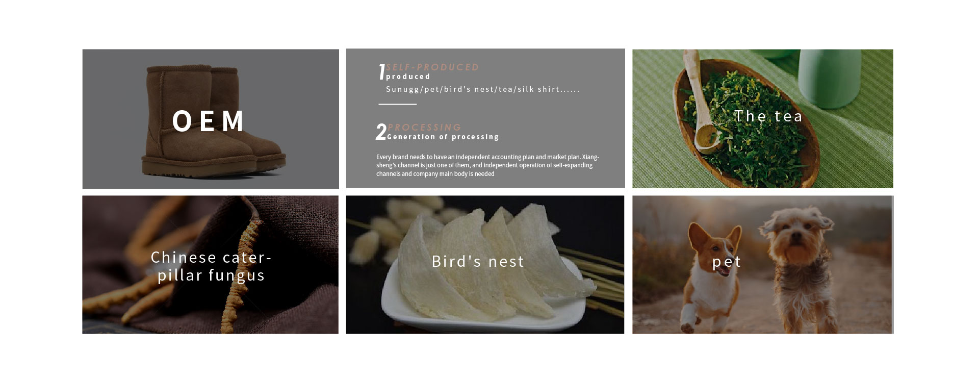 官网项目介绍图_画板 1 副本 9.jpg