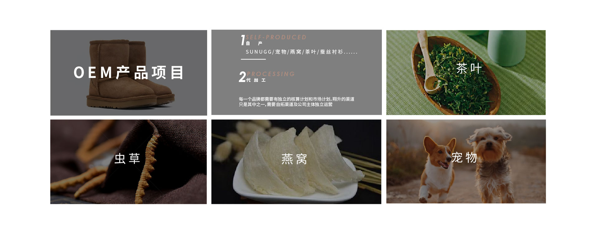 官网项目介绍图_画板 1 副本 8.jpg